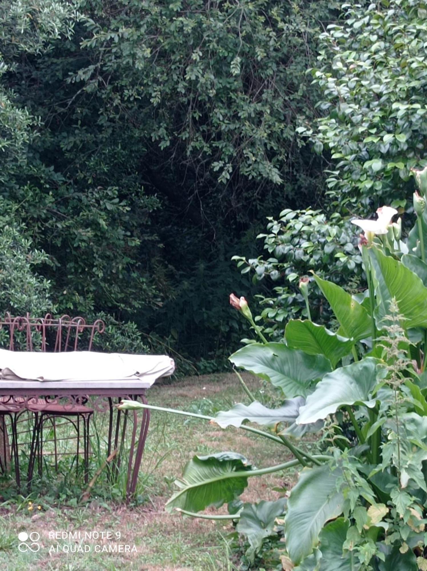 Rez-De-Jardin Piscine Chauffee Et Jardin Privatifs Villa Saint-Geours-de-Maremne Ngoại thất bức ảnh